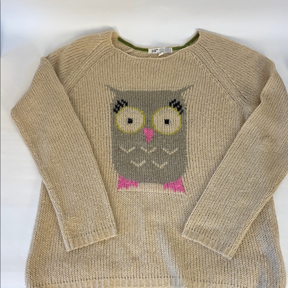 Owl Design Pullover Sweater